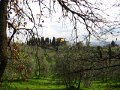 Fiesole Country Views-10